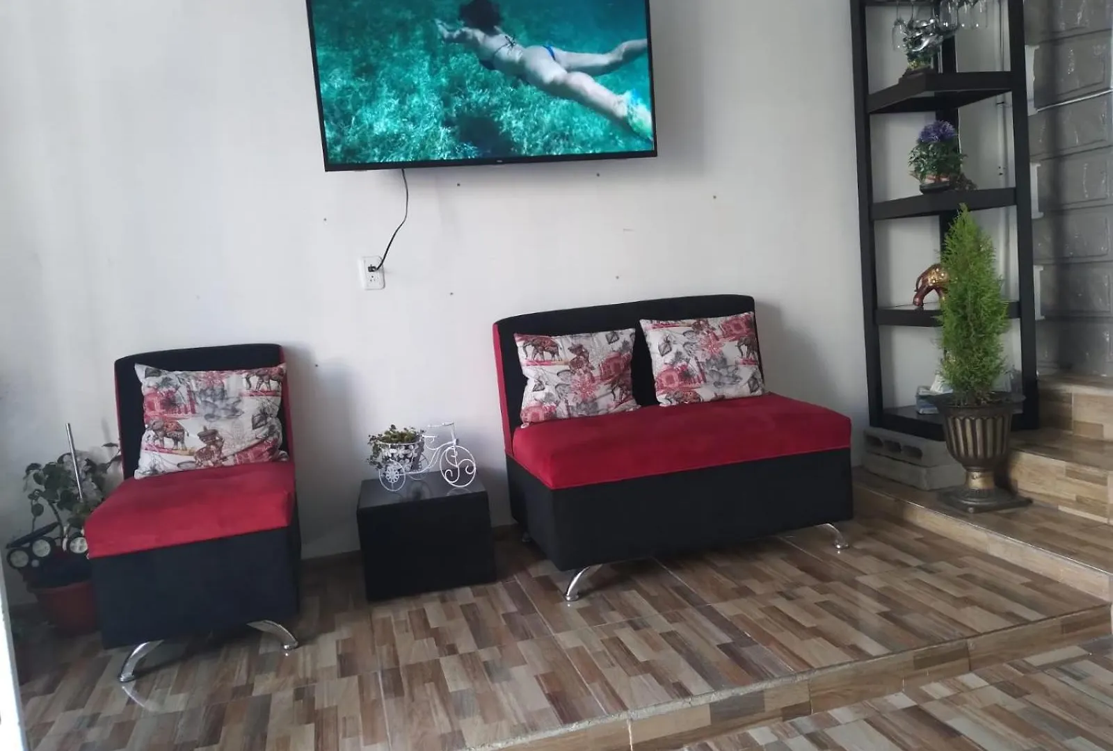Alquimia Hostal Quito Ecuador